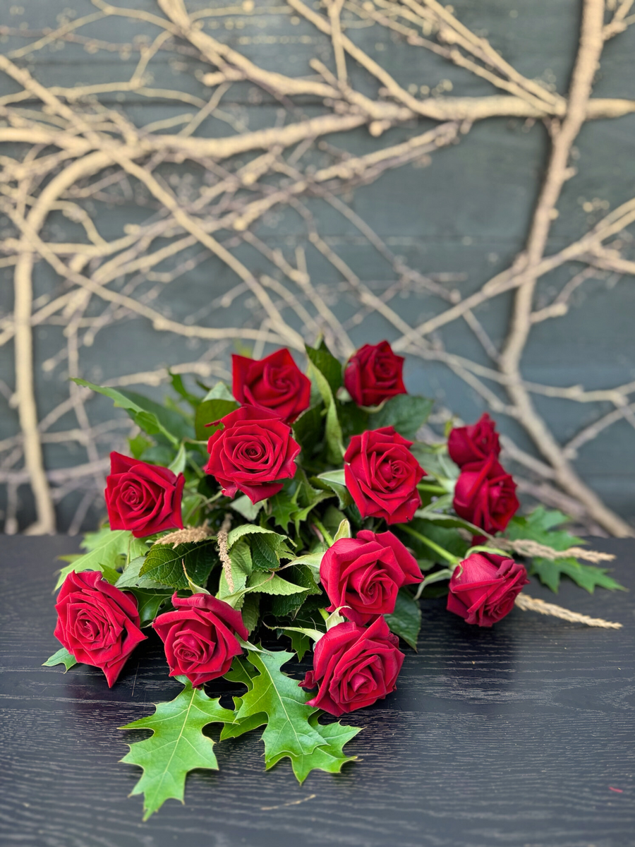 1 Dozen Red Roses-Local NZ Florist -The Wild Rose | Nationwide delivery, Free for orders over $100 | Flower Delivery Auckland