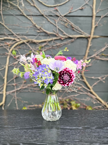 Paddock To Posie-Local NZ Florist -The Wild Rose | Nationwide delivery, Free for orders over $100 | Flower Delivery Auckland