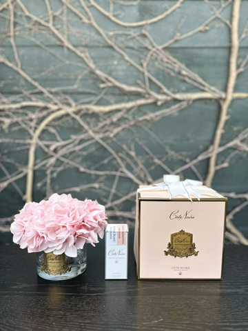 Côte Noire Hydrangea - Pink-Local NZ Florist -The Wild Rose | Nationwide delivery, Free for orders over $100 | Flower Delivery Auckland