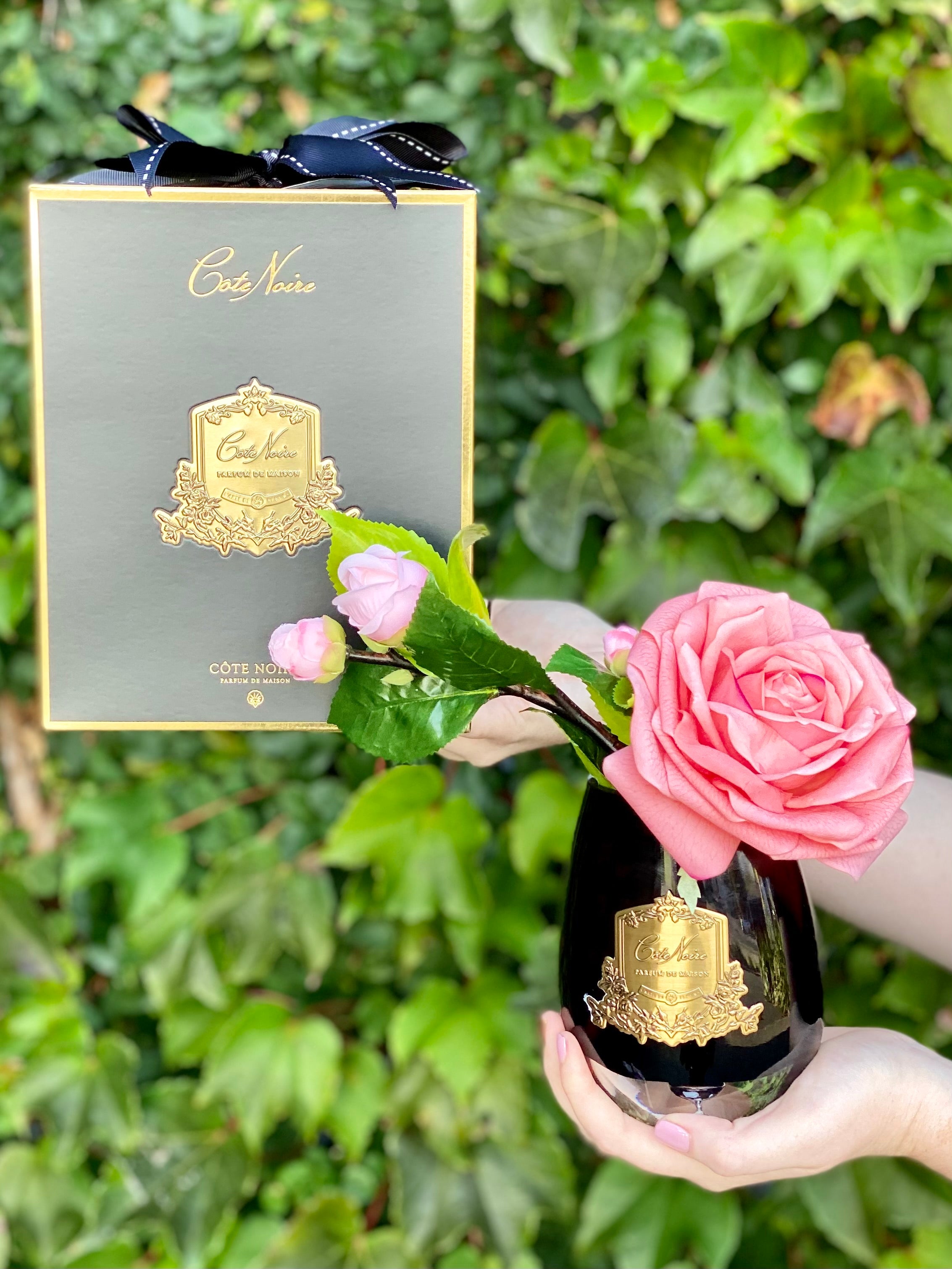 Côte Noire Tea Rose White Peach in Black Vase - Main Image