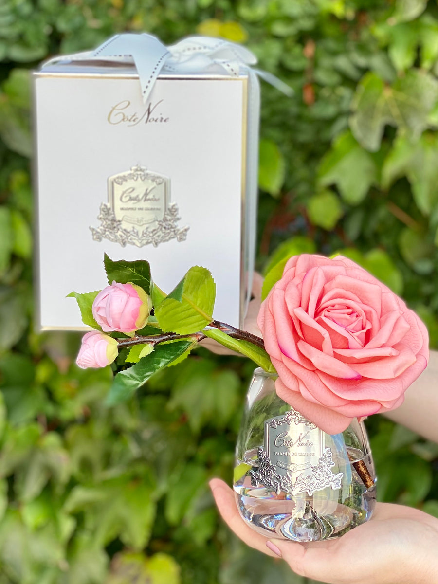 Côte Noire Tea Rose - White Peach in Clear Vase-Local NZ Florist -The Wild Rose | Nationwide delivery, Free for orders over $100 | Flower Delivery Auckland