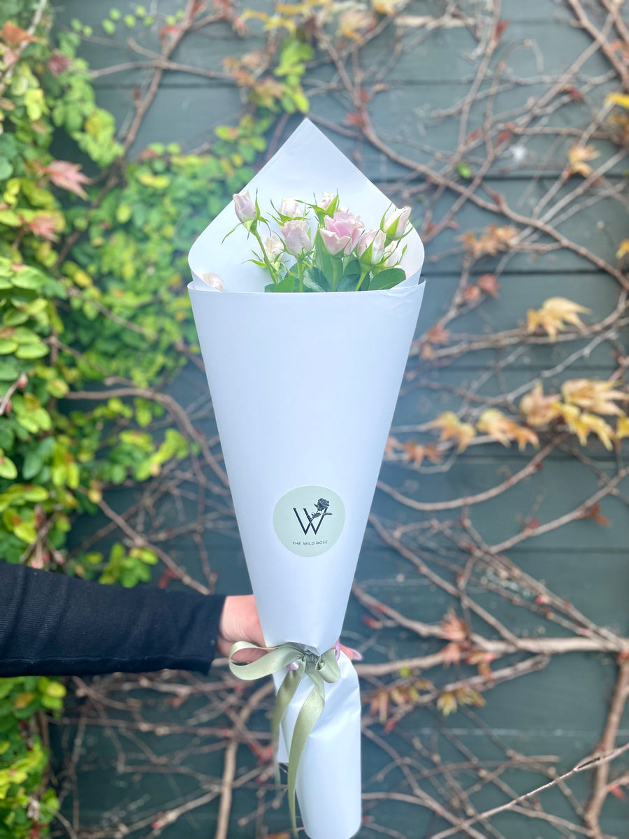 Petite Roses-Local NZ Florist -The Wild Rose | Nationwide delivery, Free for orders over $100 | Flower Delivery Auckland