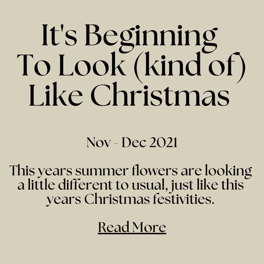 The Joy Of Christmas