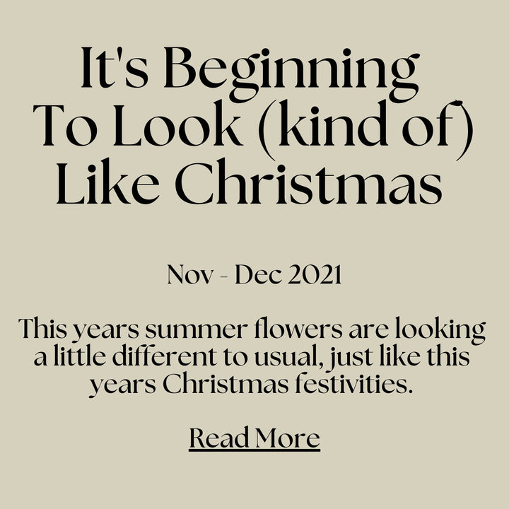 The Joy Of Christmas