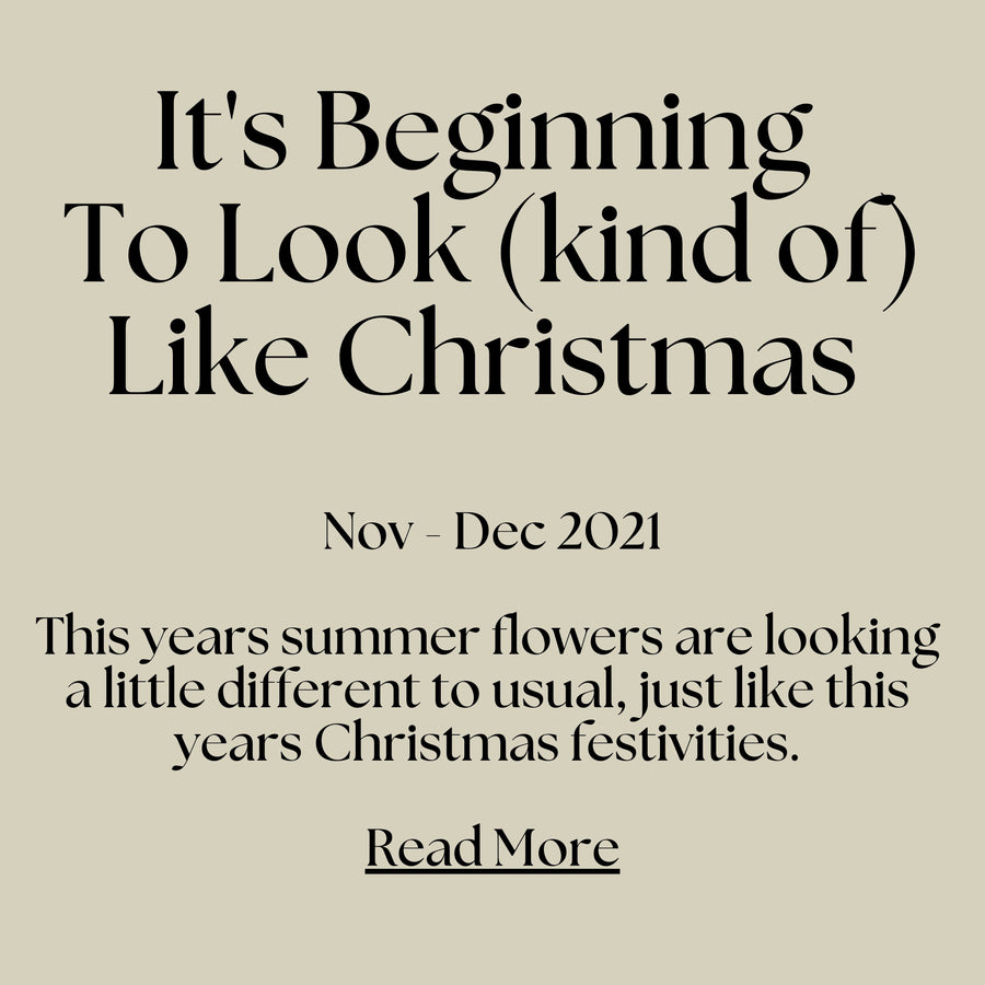 The Joy Of Christmas