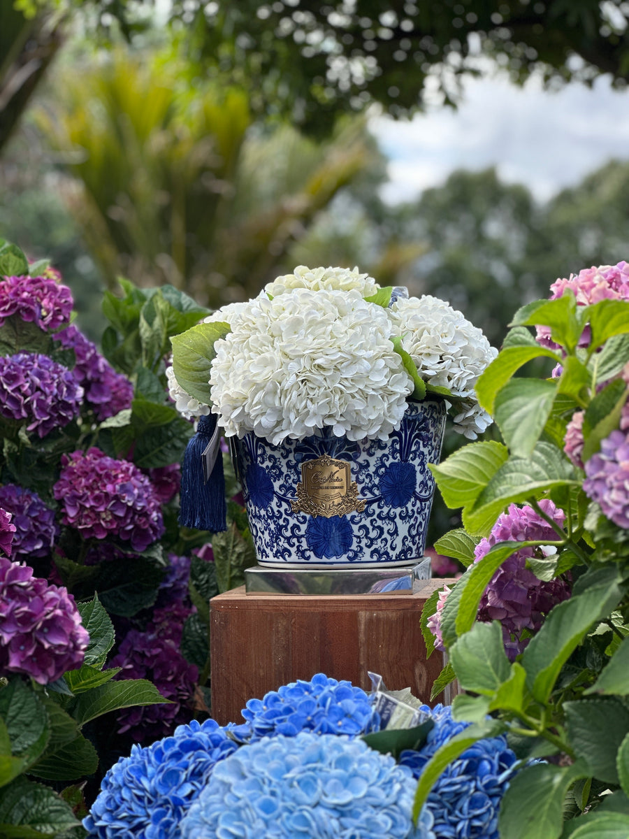 Opening the Gates to Our Flower Farm