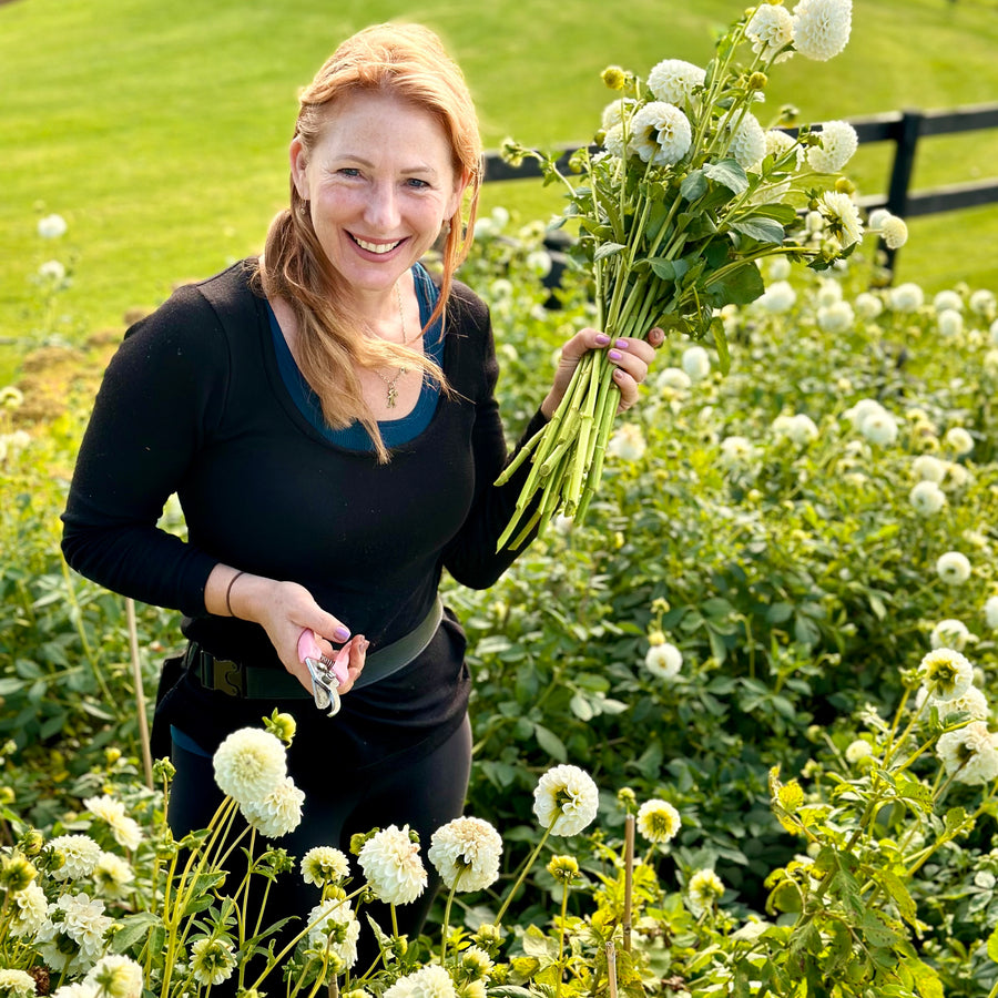 Blooming For A Greener Future - Sustainable Florist