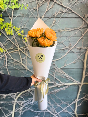 Sunflower Trio-Local NZ Florist -The Wild Rose | Nationwide delivery, Free for orders over $100 | Flower Delivery Auckland