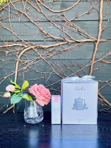 Côte Noire Tea Rose - White Peach in Clear Vase-Local NZ Florist -The Wild Rose | Nationwide delivery, Free for orders over $100 | Flower Delivery Auckland