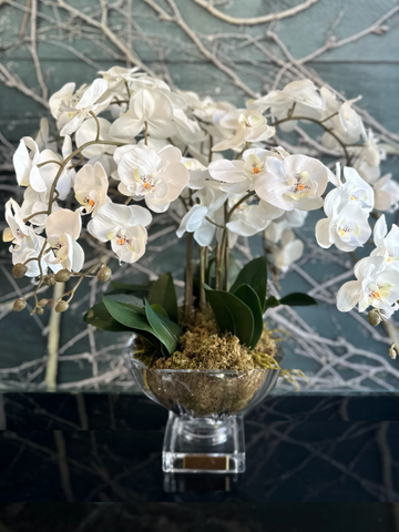 Cote Noire - Centrepiece Tall White Orchids-Local NZ Florist -The Wild Rose | Nationwide delivery, Free for orders over $100 | Flower Delivery Auckland