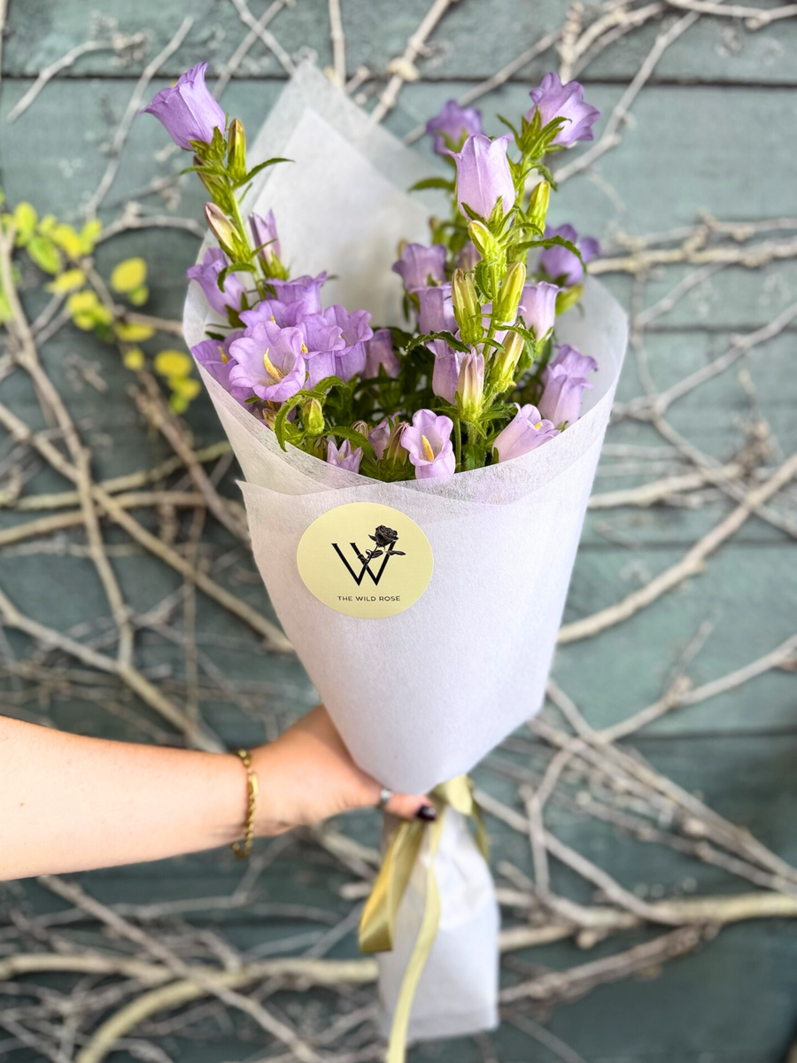 Petite Seasonal Paddock To Posie-Local NZ Florist -The Wild Rose | Nationwide delivery, Free for orders over $100 | Flower Delivery Auckland
