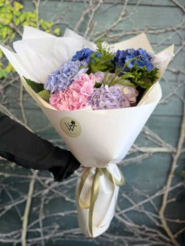 Hydrangeas Bouquet-Local NZ Florist -The Wild Rose | Nationwide delivery, Free for orders over $100 | Flower Delivery Auckland