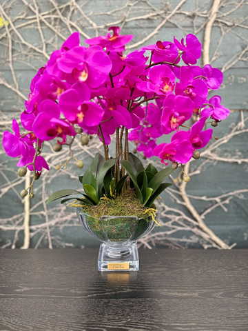 Cote Noire - Centrepiece Tall purple orchids-Local NZ Florist -The Wild Rose | Nationwide delivery, Free for orders over $100 | Flower Delivery Auckland