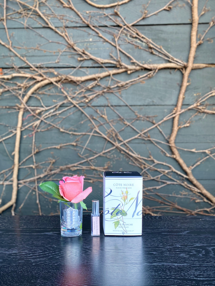 Côte Noire Perfumed Natural Touch Rose Bud White Peach-Local NZ Florist -The Wild Rose | Nationwide delivery, Free for orders over $100 | Flower Delivery Auckland