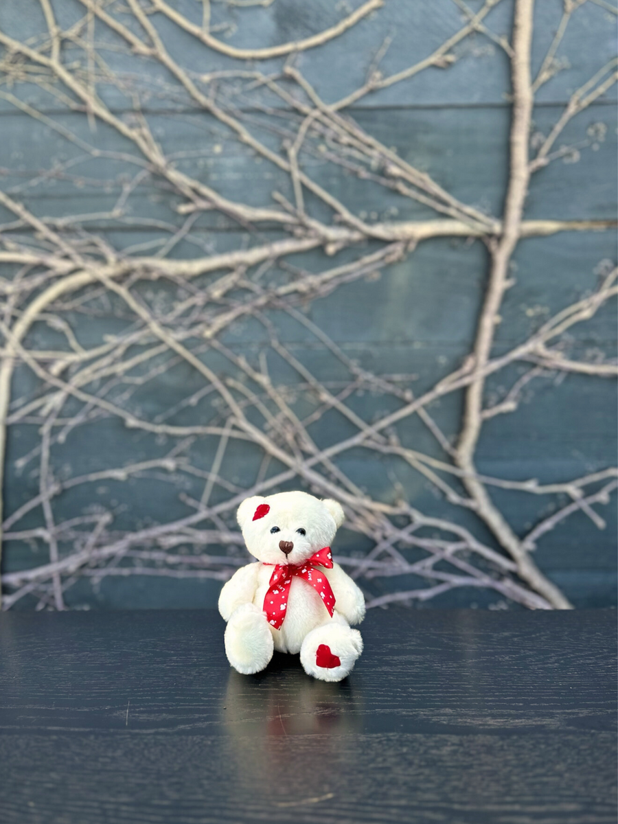 Valentine's Teddy-Local NZ Florist -The Wild Rose | Nationwide delivery, Free for orders over $100 | Flower Delivery Auckland