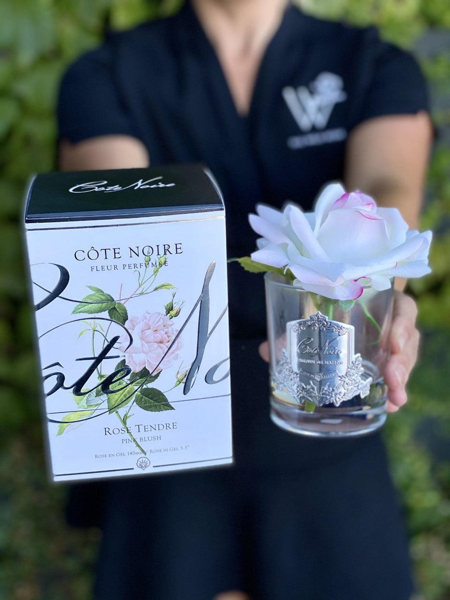 Côte Noire Perfumed Natural Touch French Rose - Pink Blush-Local NZ Florist -The Wild Rose | Nationwide delivery, Free for orders over $100 | Flower Delivery Auckland