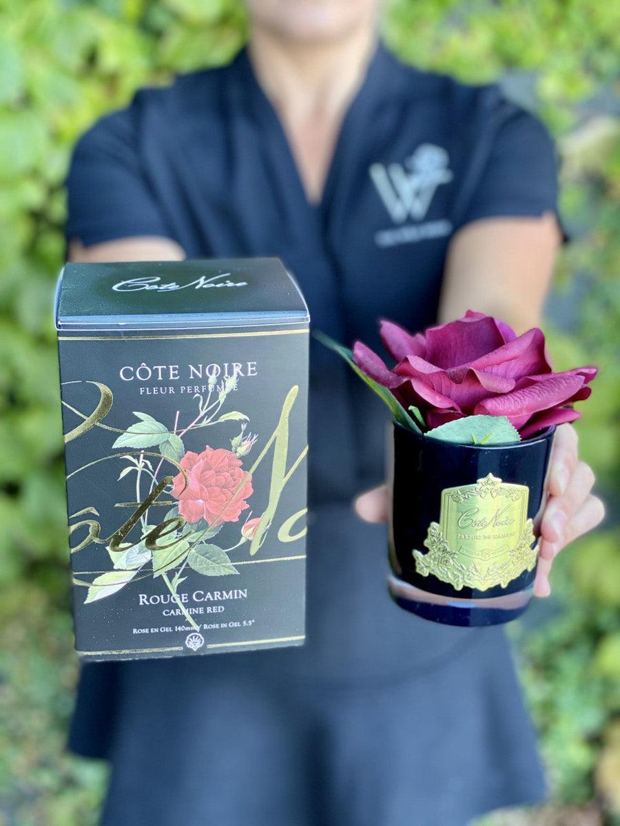 Côte Noire Perfumed Natural Touch French Rose - Carmine Red-Local NZ Florist -The Wild Rose | Nationwide delivery, Free for orders over $100 | Flower Delivery Auckland