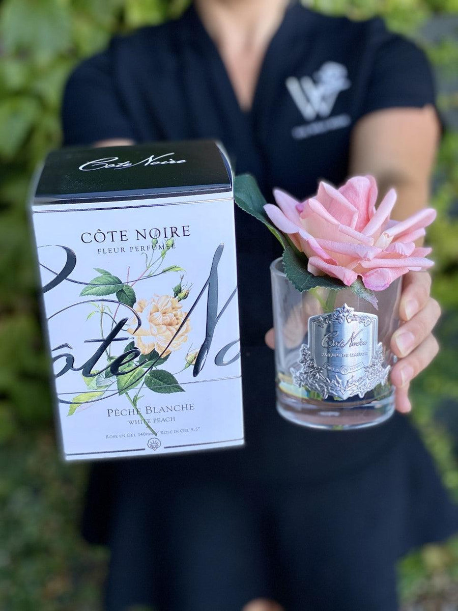 Côte Noire Perfumed Natural Touch French Rose - White Peach-Local NZ Florist -The Wild Rose | Nationwide delivery, Free for orders over $100 | Flower Delivery Auckland