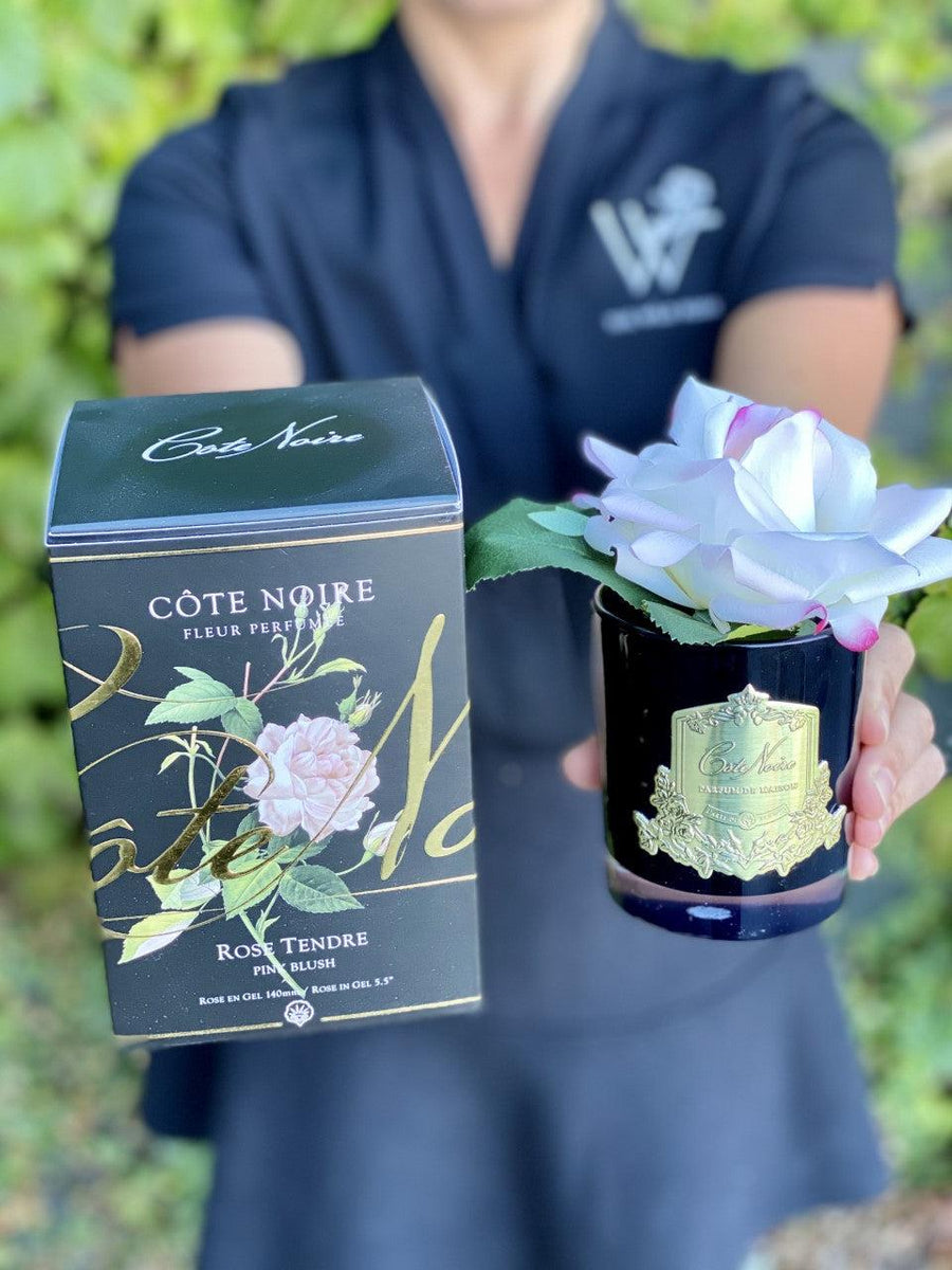 Côte Noire Perfumed Natural Touch French Rose - Pink Blush-Local NZ Florist -The Wild Rose | Nationwide delivery, Free for orders over $100 | Flower Delivery Auckland