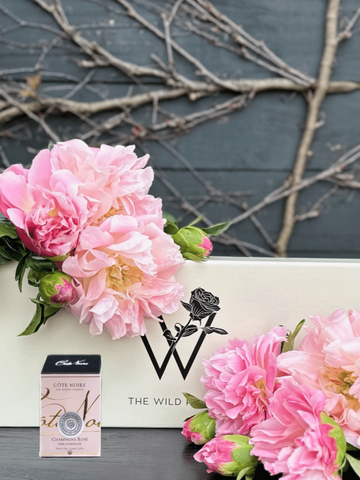 Pretty Peonies-Local NZ Florist -The Wild Rose | Nationwide delivery, Free for orders over $100 | Flower Delivery Auckland