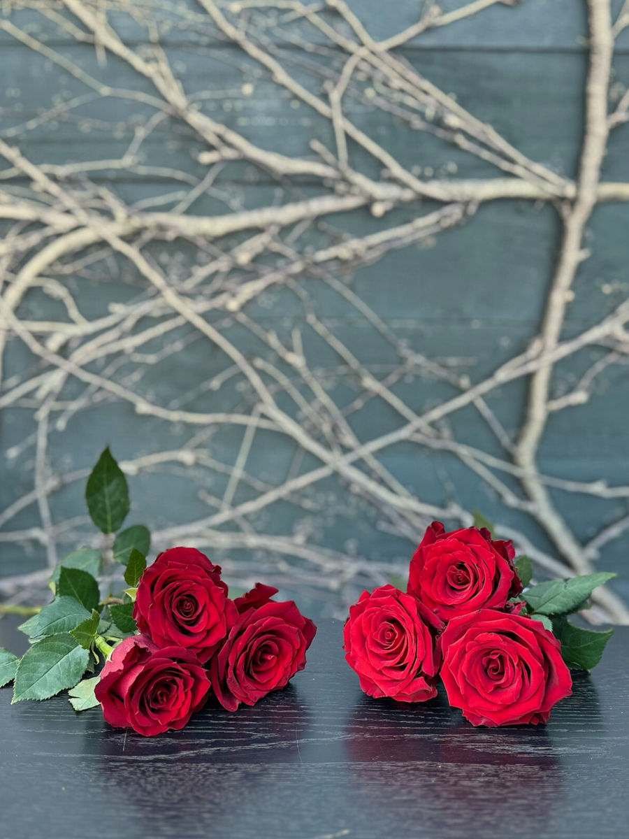 My Love-Local NZ Florist -The Wild Rose | Nationwide delivery, Free for orders over $100 | Flower Delivery Auckland