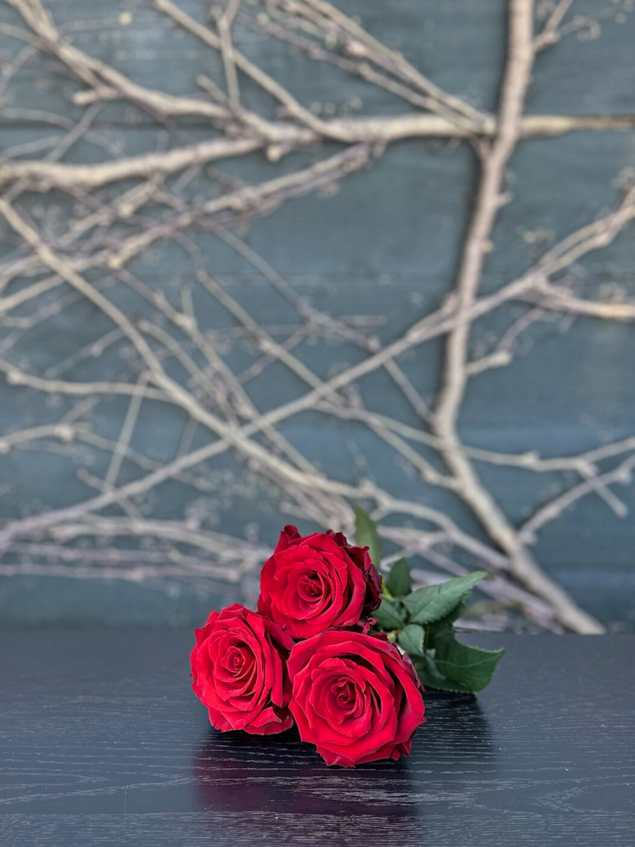 My Love-Local NZ Florist -The Wild Rose | Nationwide delivery, Free for orders over $100 | Flower Delivery Auckland