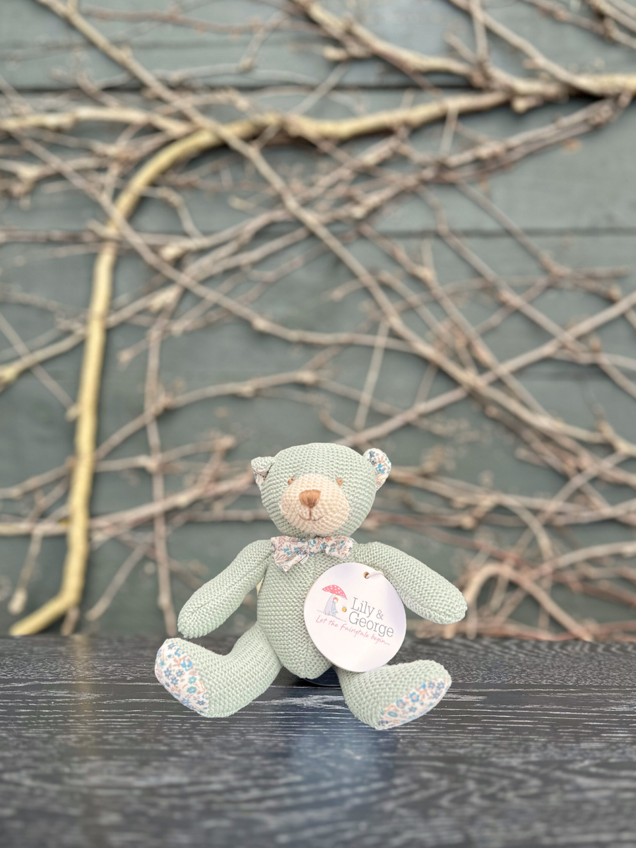 Sage Barney Knit Bear-Local NZ Florist -The Wild Rose | Nationwide delivery, Free for orders over $100 | Flower Delivery Auckland