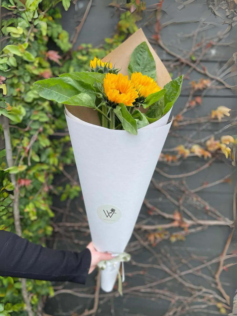 Sunflower Trio-Local NZ Florist -The Wild Rose | Nationwide delivery, Free for orders over $100 | Flower Delivery Auckland