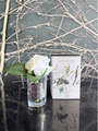 Côte Noire Perfumed Natural Touch Rose Bud Ivory White-Local NZ Florist -The Wild Rose | Nationwide delivery, Free for orders over $100 | Flower Delivery Auckland