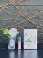 Côte Noire Perfumed Natural Touch Rose Bud Pink Blush-Local NZ Florist -The Wild Rose | Nationwide delivery, Free for orders over $100 | Flower Delivery Auckland