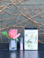 Côte Noire Perfumed Natural Touch Rose Bud White Peach-Local NZ Florist -The Wild Rose | Nationwide delivery, Free for orders over $100 | Flower Delivery Auckland