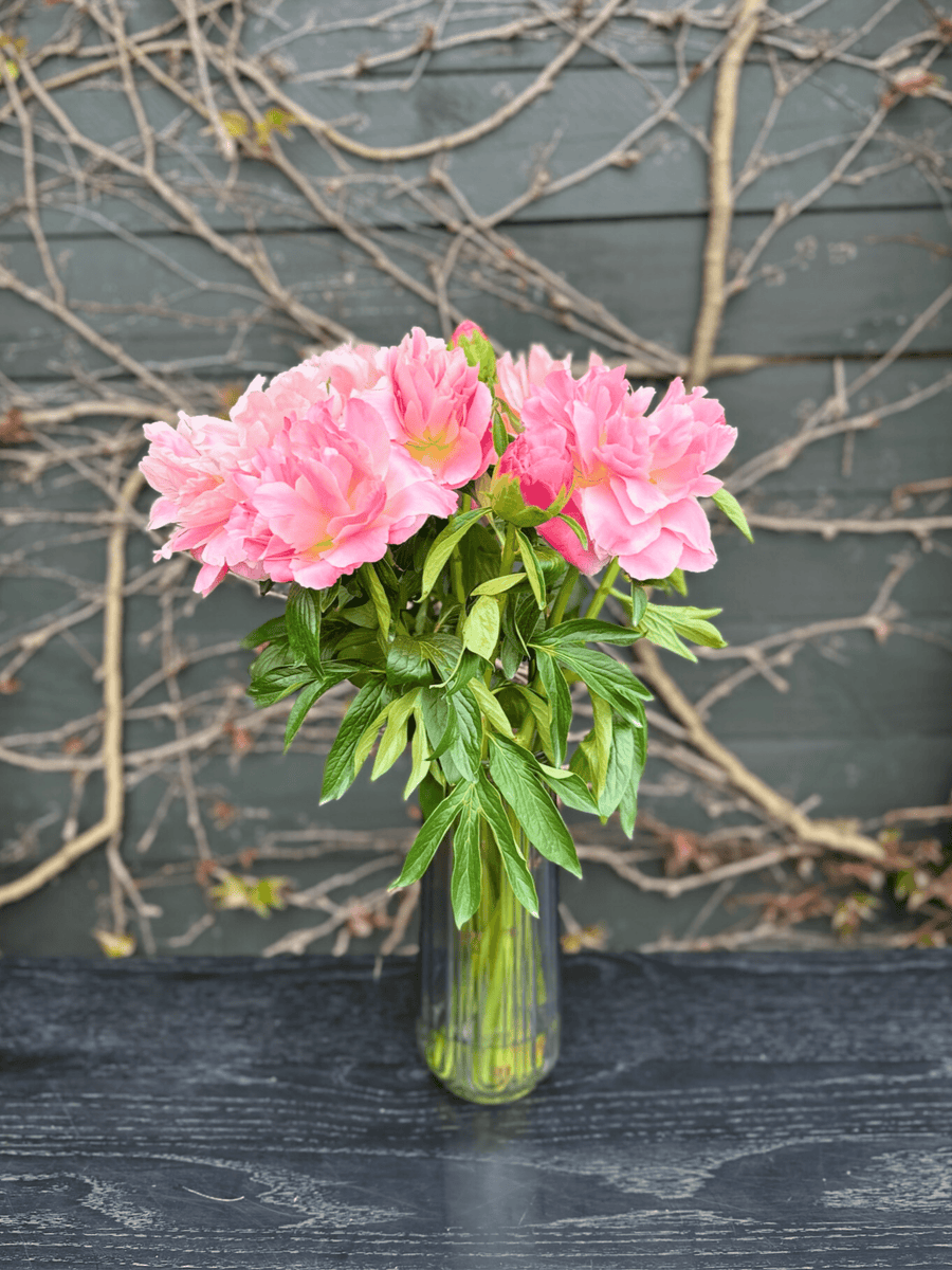 Peony Bouquet-Local NZ Florist -The Wild Rose | Nationwide delivery, Free for orders over $100 | Flower Delivery Auckland