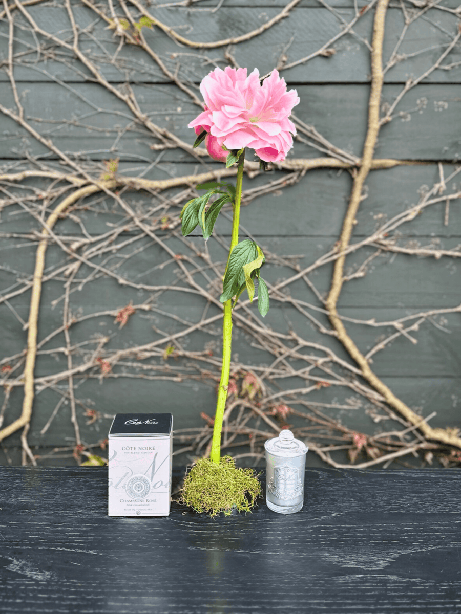 Petite Peony & Candle Bundle-Local NZ Florist -The Wild Rose | Nationwide delivery, Free for orders over $100 | Flower Delivery Auckland