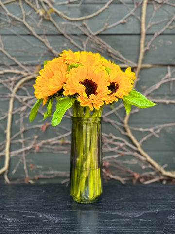 Sunflower Bouquet for Auckland Flower Delivery 7 days. Choose to have your Sunflowers in a vase or wrap. A lovely birthday gift!
