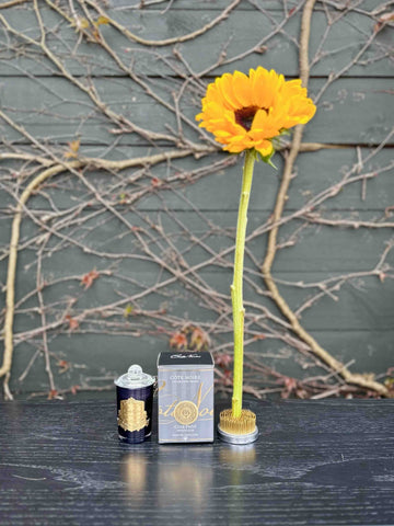 Auckland Flower Delivery - Sunflower & Cote Noire Candle gift bundle