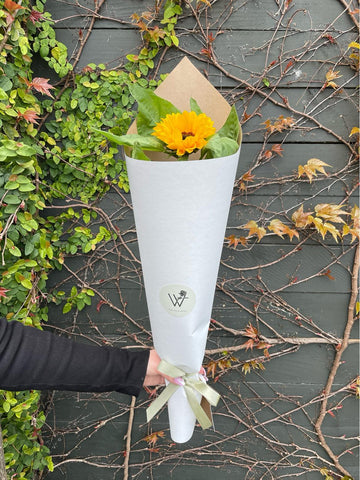 Single Sunflower-Local NZ Florist -The Wild Rose | Nationwide delivery, Free for orders over $100 | Flower Delivery Auckland