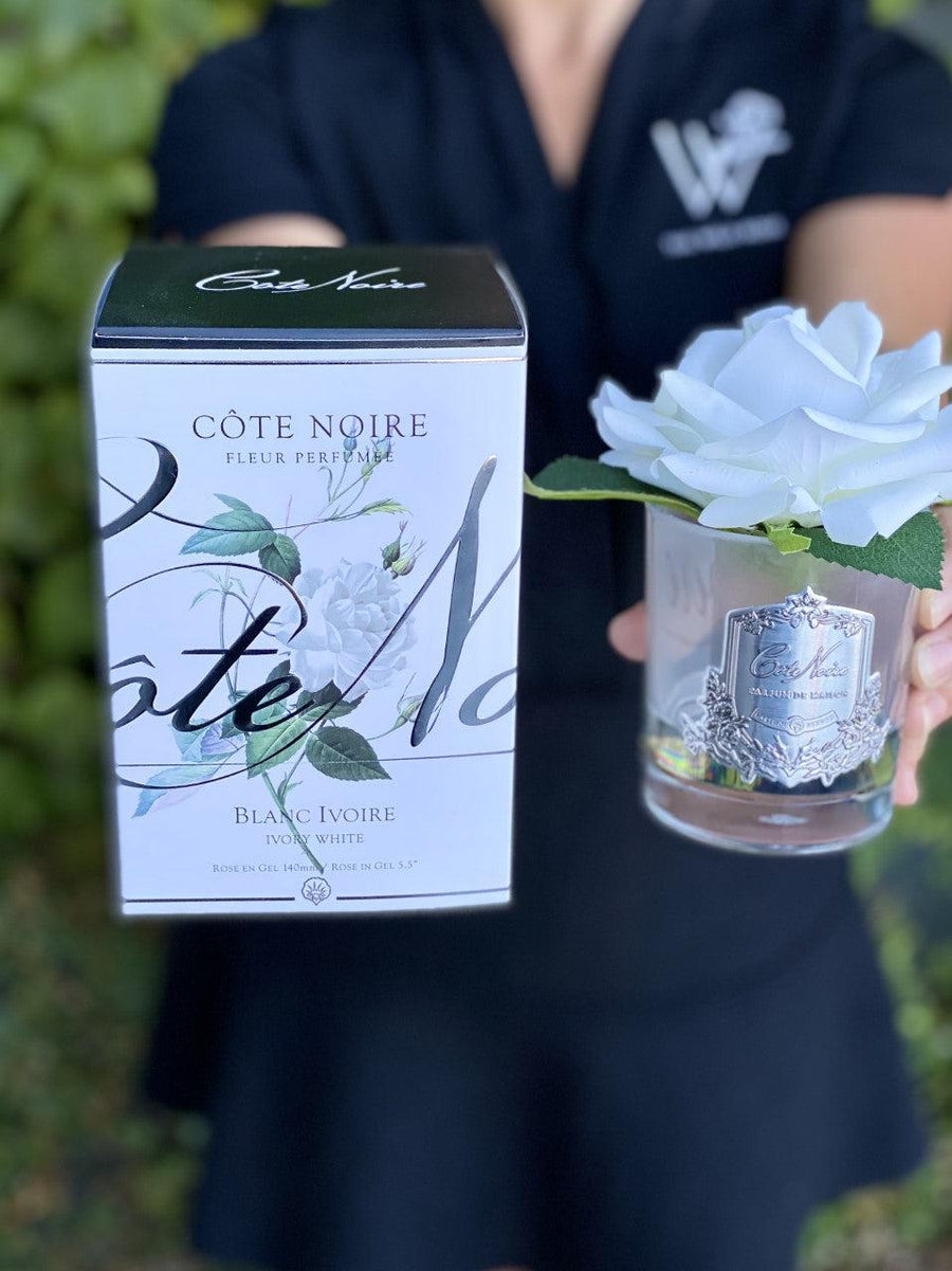 Côte Noire Perfumed Natural Touch French Rose Ivory White-Local NZ Florist -The Wild Rose | Nationwide delivery, Free for orders over $100 | Flower Delivery Auckland