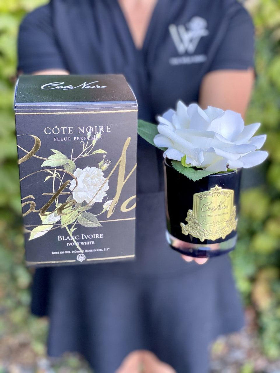 Côte Noire Perfumed Natural Touch French Rose Ivory White-Local NZ Florist -The Wild Rose | Nationwide delivery, Free for orders over $100 | Flower Delivery Auckland