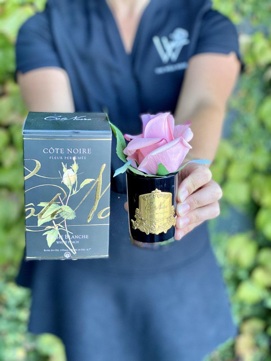 Côte Noire Perfumed Natural Touch Rose Bud White Peach-Local NZ Florist -The Wild Rose | Nationwide delivery, Free for orders over $100 | Flower Delivery Auckland