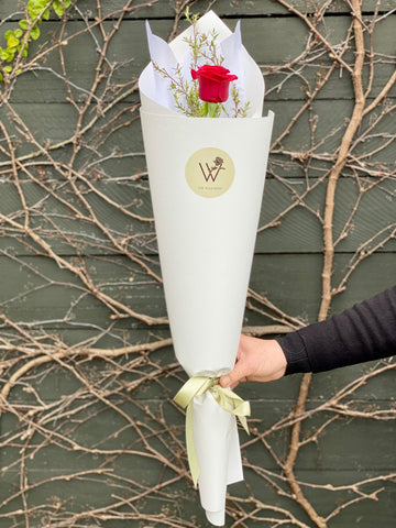 Single Rose-Local NZ Florist -The Wild Rose | Nationwide delivery, Free for orders over $100 | Flower Delivery Auckland
