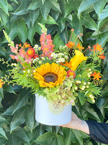 Summer Hat Box-Local NZ Florist -The Wild Rose | Nationwide delivery, Free for orders over $100 | Flower Delivery Auckland