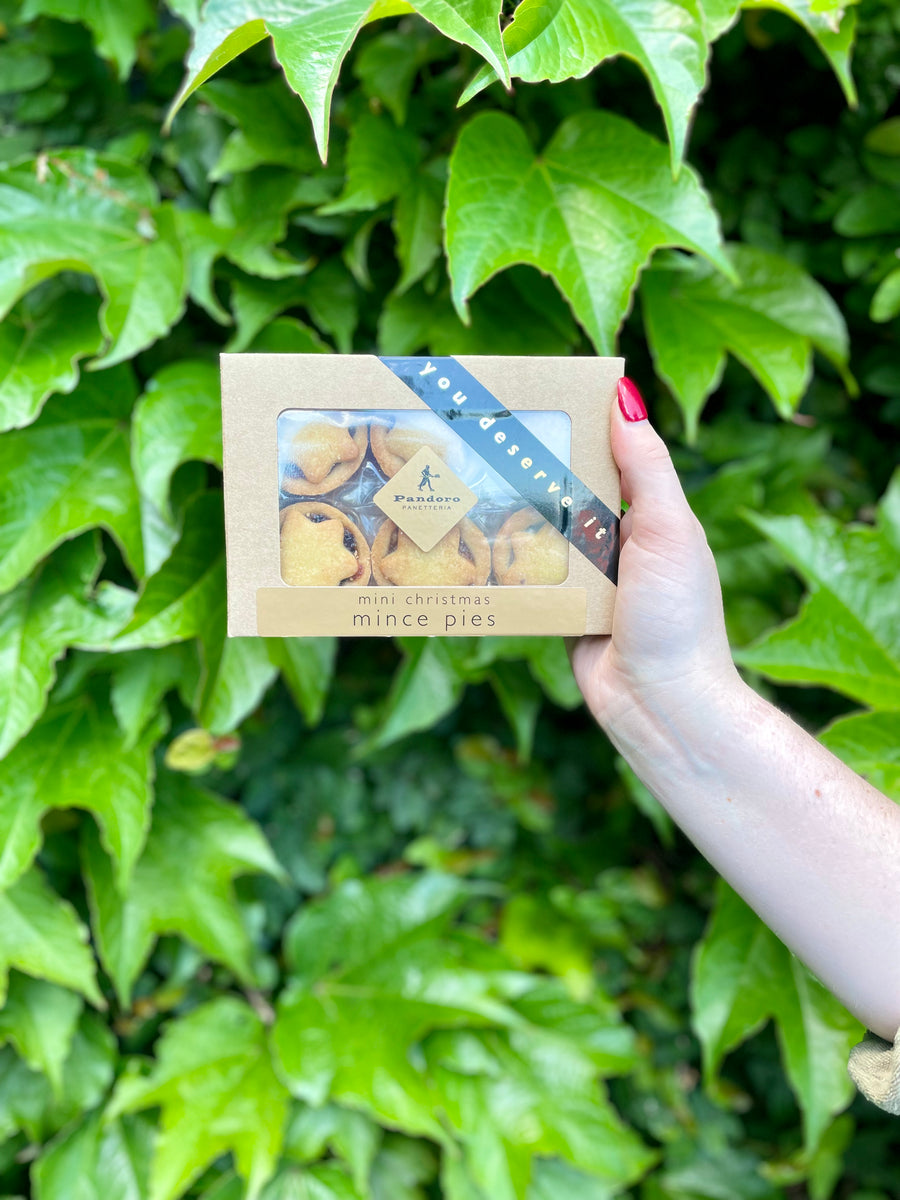 Pandoro Xmas Tarts 6pk Mini-Local NZ Florist -The Wild Rose | Nationwide delivery, Free for orders over $100 | Flower Delivery Auckland