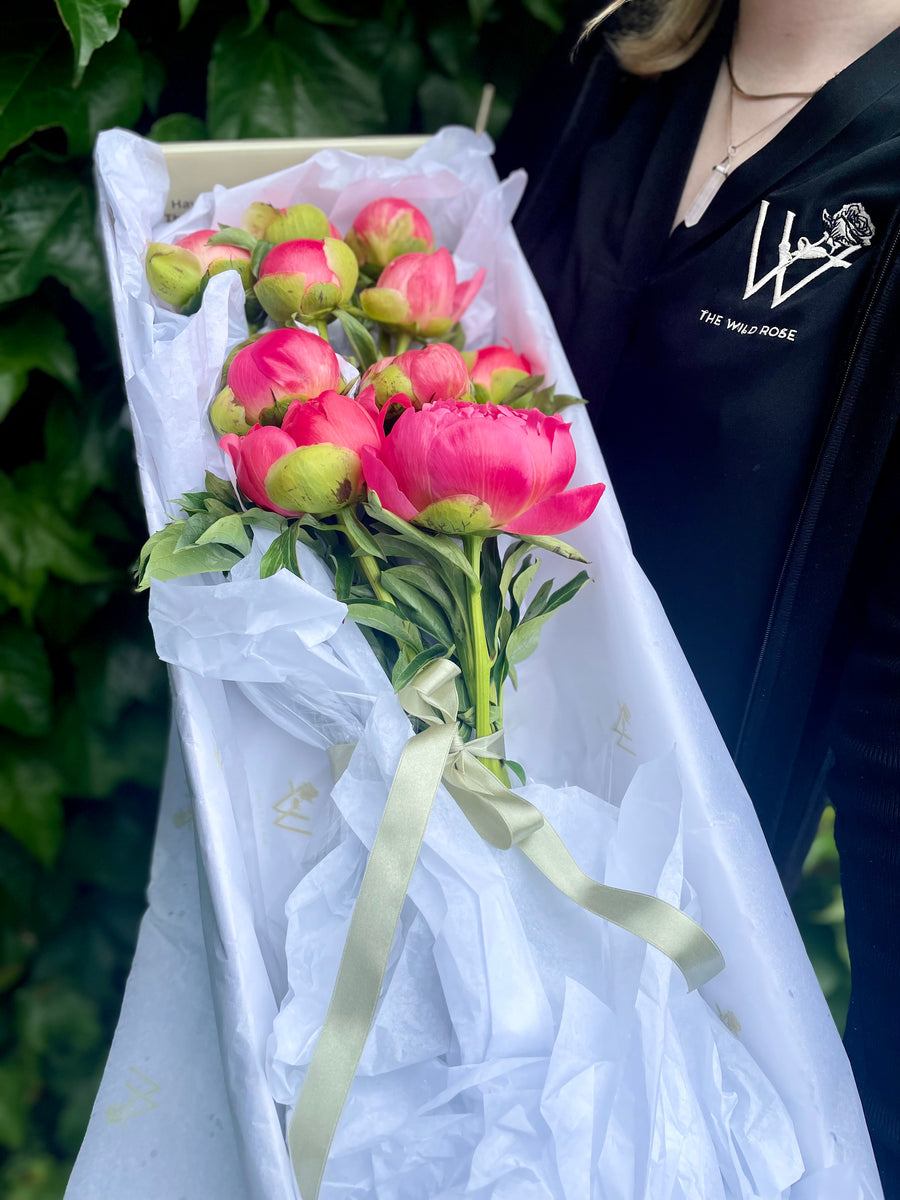Pretty Peonies-Local NZ Florist -The Wild Rose | Nationwide delivery, Free for orders over $100 | Flower Delivery Auckland