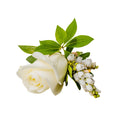 Buttonhole - Pure Elegance-Local NZ Florist -The Wild Rose | Nationwide delivery, Free for orders over $100 | Flower Delivery Auckland