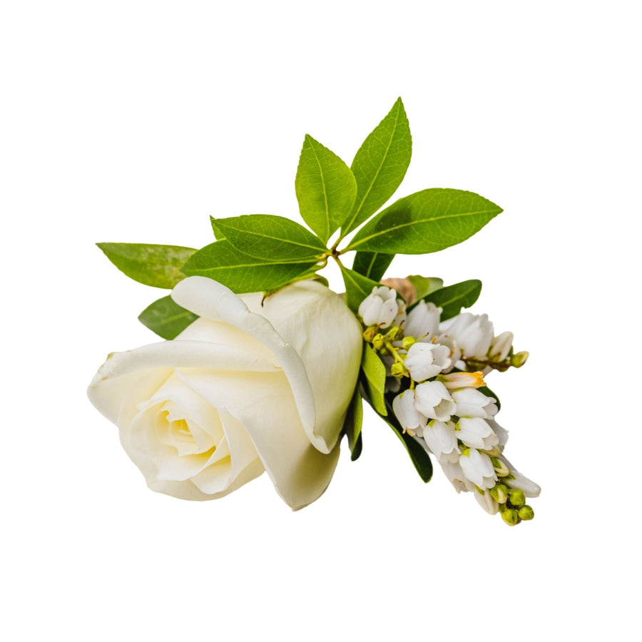 Buttonhole - Pure Elegance-Local NZ Florist -The Wild Rose | Nationwide delivery, Free for orders over $100 | Flower Delivery Auckland