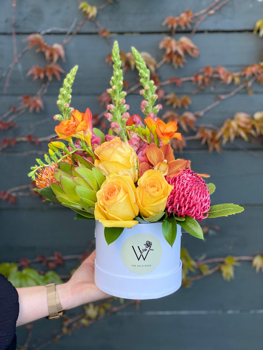 Bright Hat Box-Local NZ Florist -The Wild Rose | Nationwide delivery, Free for orders over $100 | Flower Delivery Auckland
