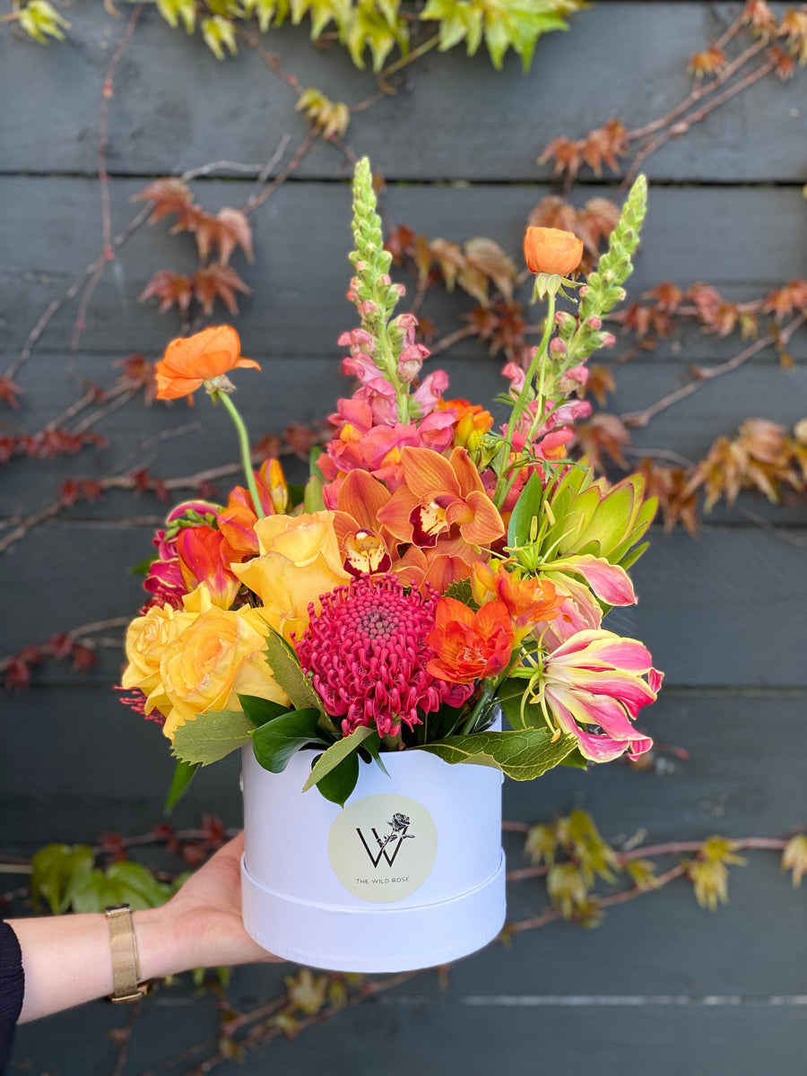 Bright Hat Box-Local NZ Florist -The Wild Rose | Nationwide delivery, Free for orders over $100 | Flower Delivery Auckland