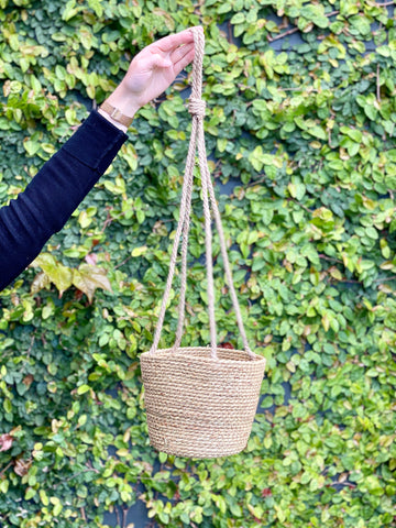 Seagrass Hanging Plant Basket-Local NZ Florist -The Wild Rose | Nationwide delivery, Free for orders over $100 | Flower Delivery Auckland