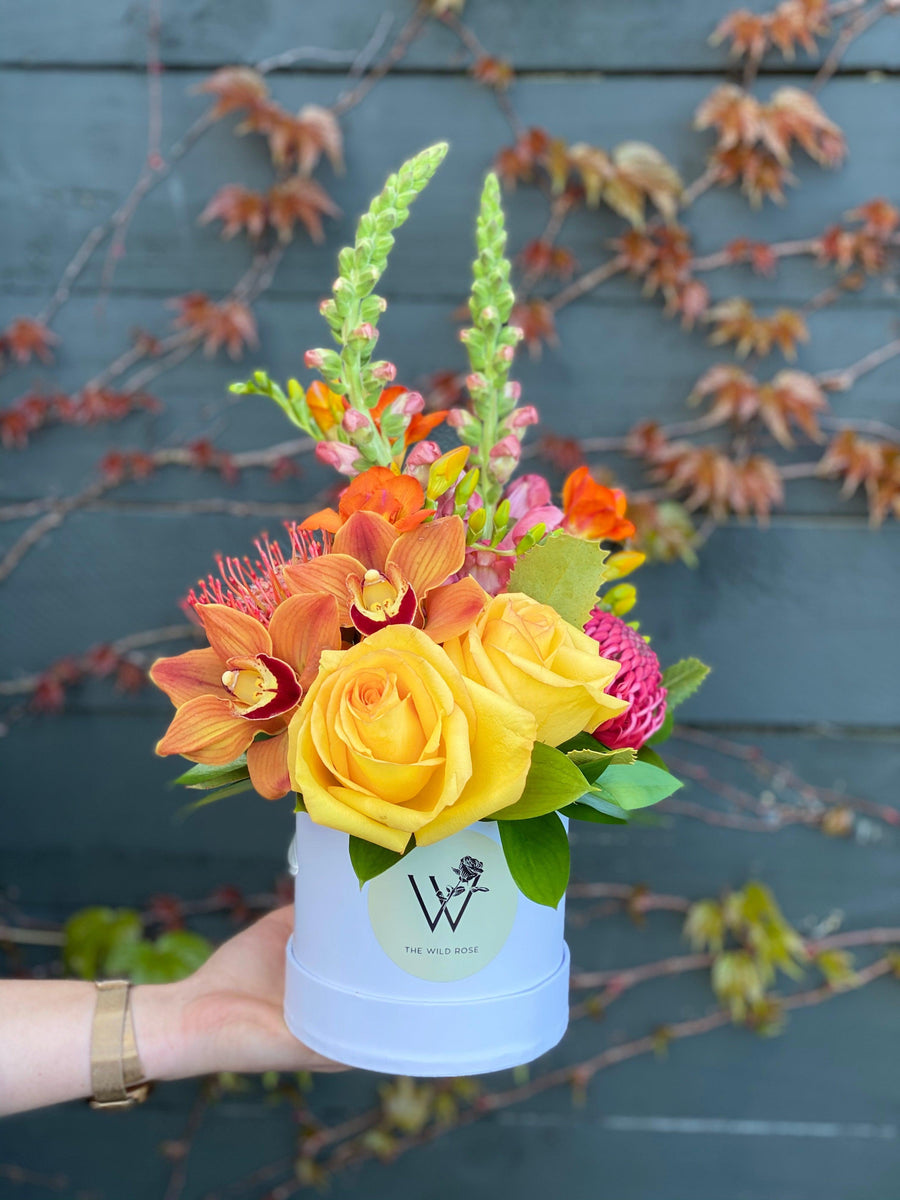 Bright Hat Box-Local NZ Florist -The Wild Rose | Nationwide delivery, Free for orders over $100 | Flower Delivery Auckland